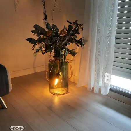 Les Hauts De Perpigna Appartement Royan